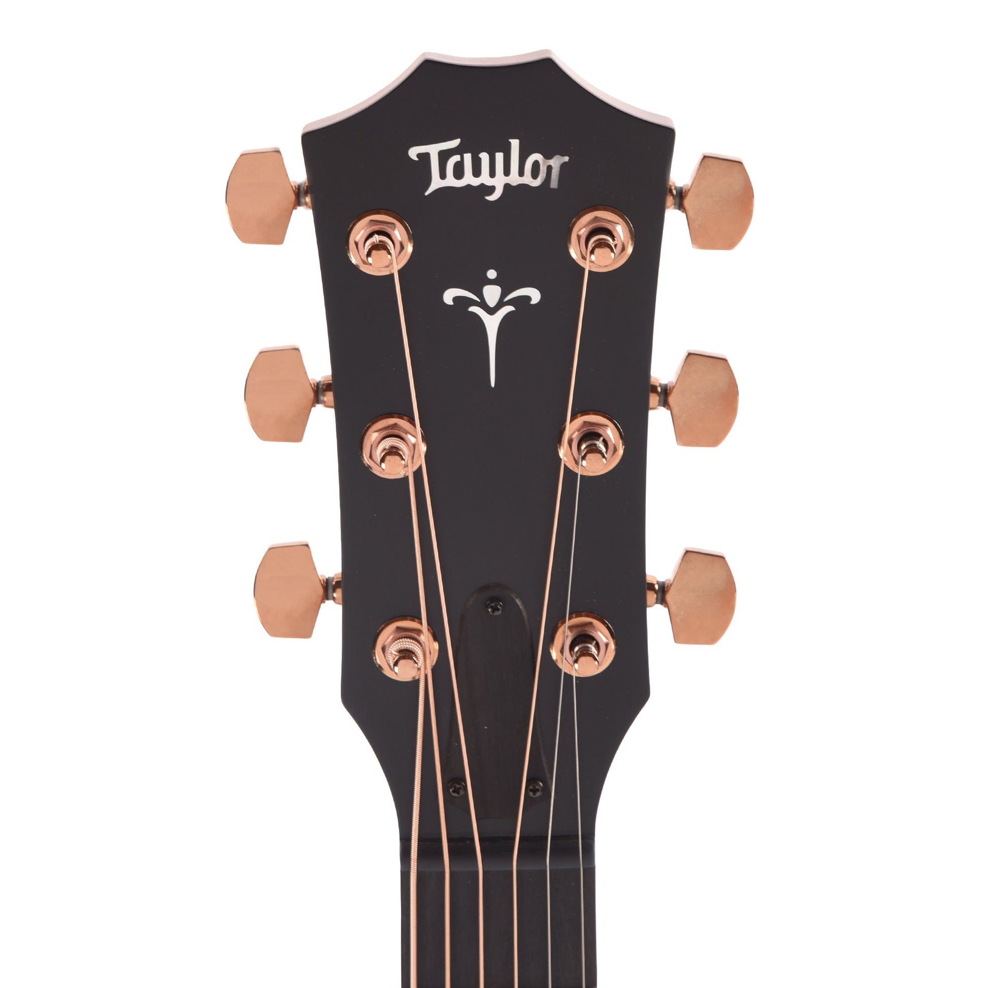 Taylor 722ce Grand Concert Hawaiian Koa Gloss Natural ES2