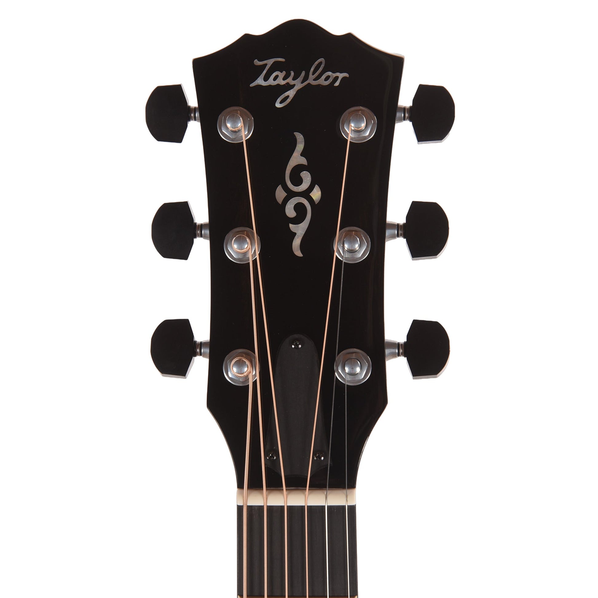 Taylor Gold Label 810e Torrefied Sitka/Honduran Rosewood Natural w/L.R. Baggs VTC