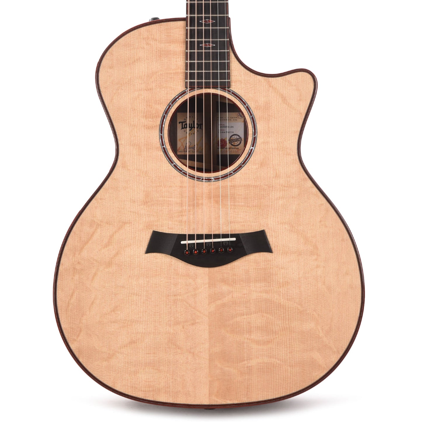 Taylor Custom "The Catch" NAMM 2024 #14 C14ce Grand Auditorium Bearclaw Sitka/AA Indian Rosewood Natural