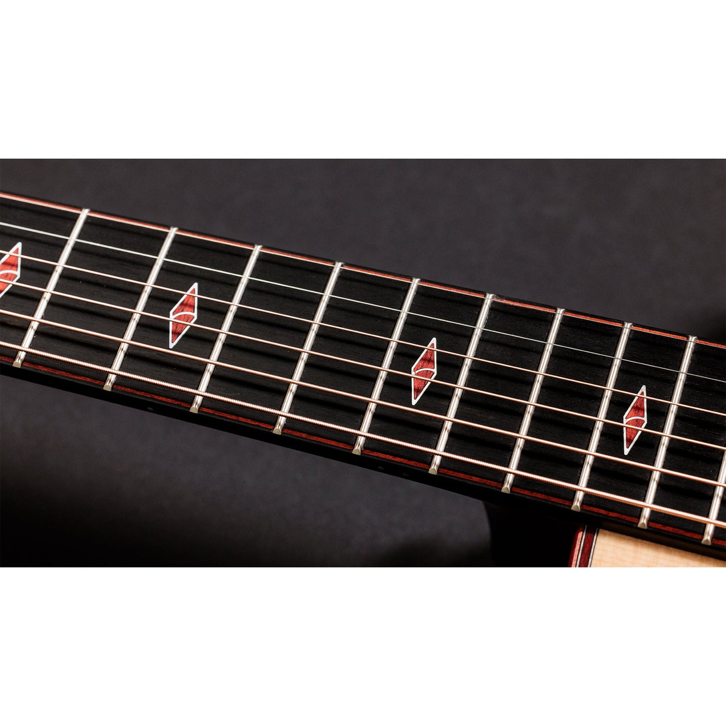 Taylor Custom "The Catch" NAMM 2024 #14 C14ce Grand Auditorium Bearclaw Sitka/AA Indian Rosewood Natural