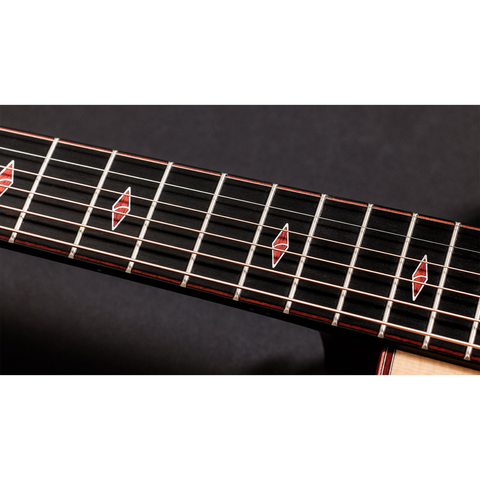 Taylor Custom "The Catch" NAMM 2024 #14 C14ce Grand Auditorium Bearclaw Sitka/AA Indian Rosewood Natural
