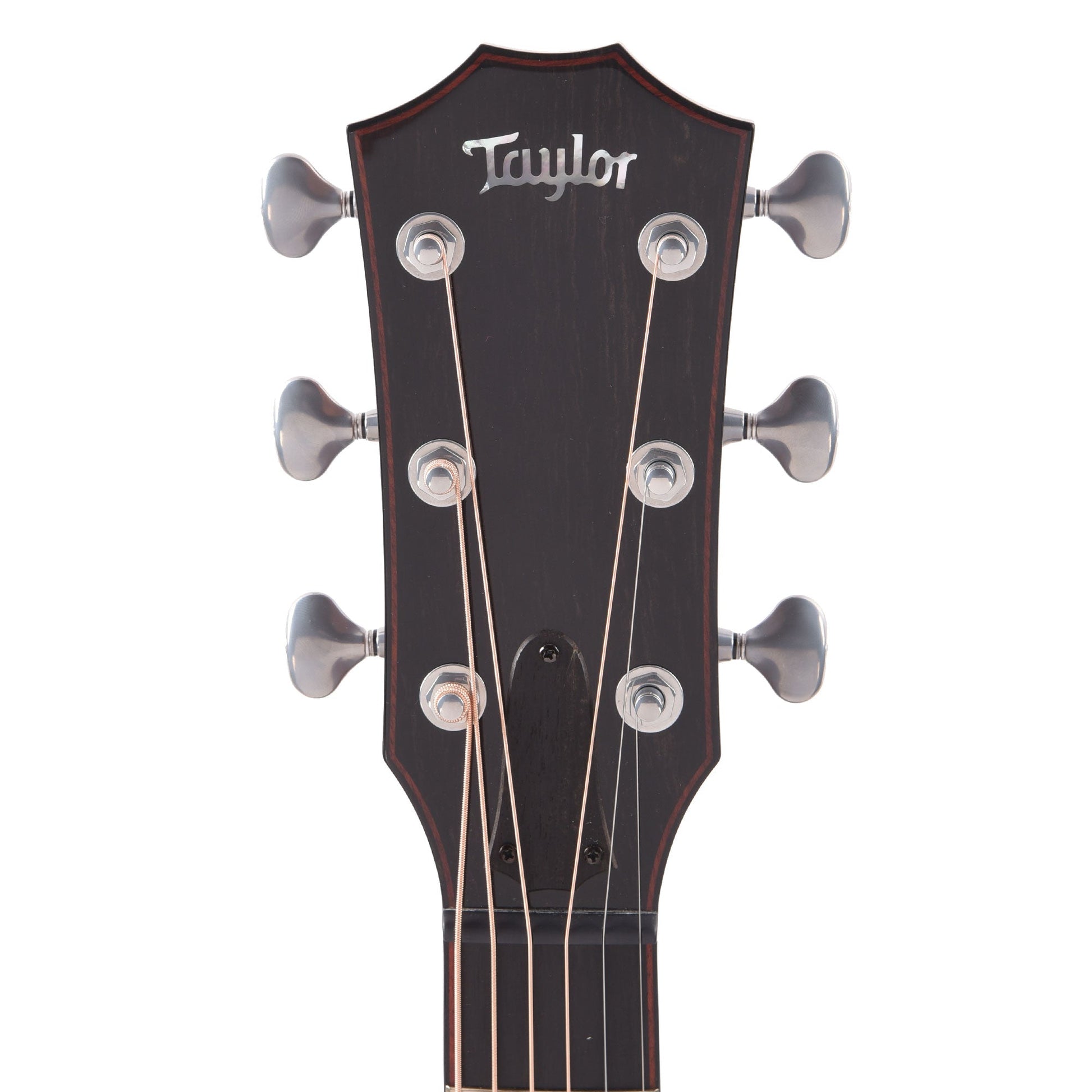 Taylor Custom "The Catch" NAMM 2024 #14 C14ce Grand Auditorium Bearclaw Sitka/AA Indian Rosewood Natural
