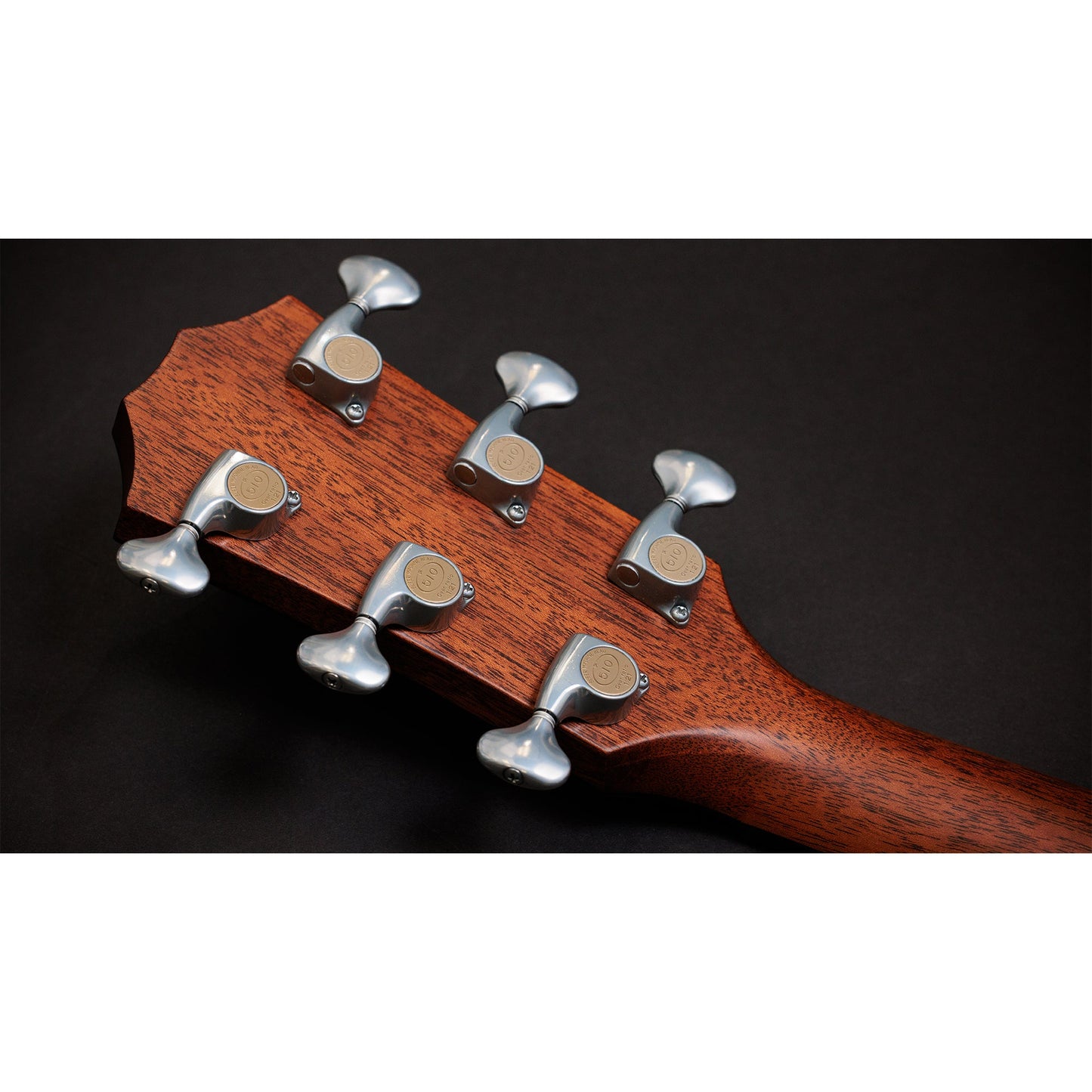 Taylor Custom "The Catch" NAMM 2024 #14 C14ce Grand Auditorium Bearclaw Sitka/AA Indian Rosewood Natural