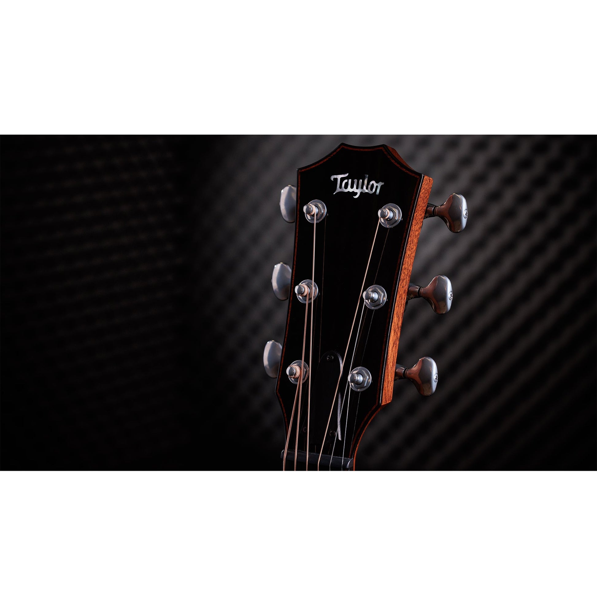 Taylor Custom "The Catch" NAMM 2024 #14 C14ce Grand Auditorium Bearclaw Sitka/AA Indian Rosewood Natural