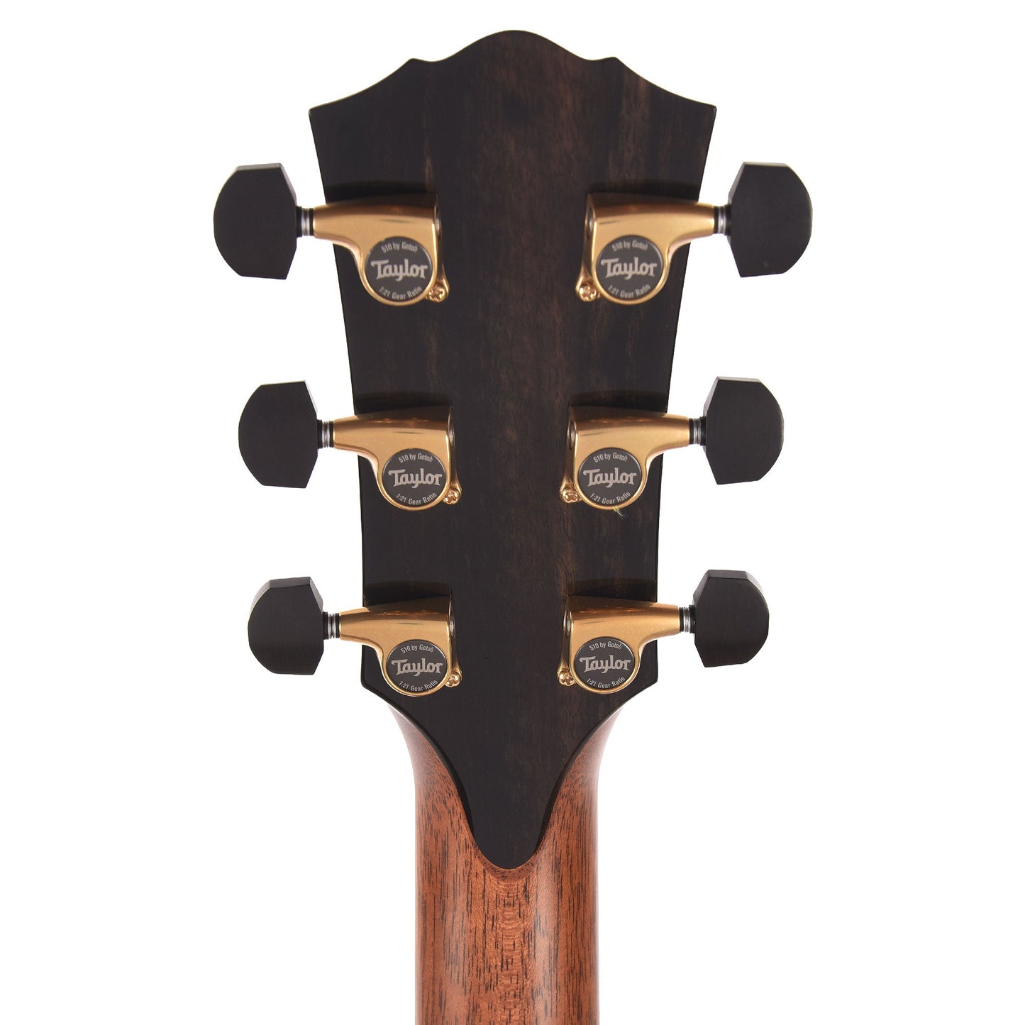 Taylor Next Generation Gold Label 917e Grand Pacific Torrefied Adirondack Spruce/Honduran Rosewood Natural w/L.R. Baggs Element