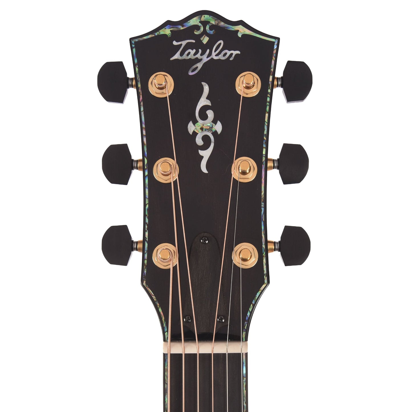 Taylor Next Generation Gold Label 917e Grand Pacific Torrefied Adirondack Spruce/Honduran Rosewood Natural w/L.R. Baggs Element