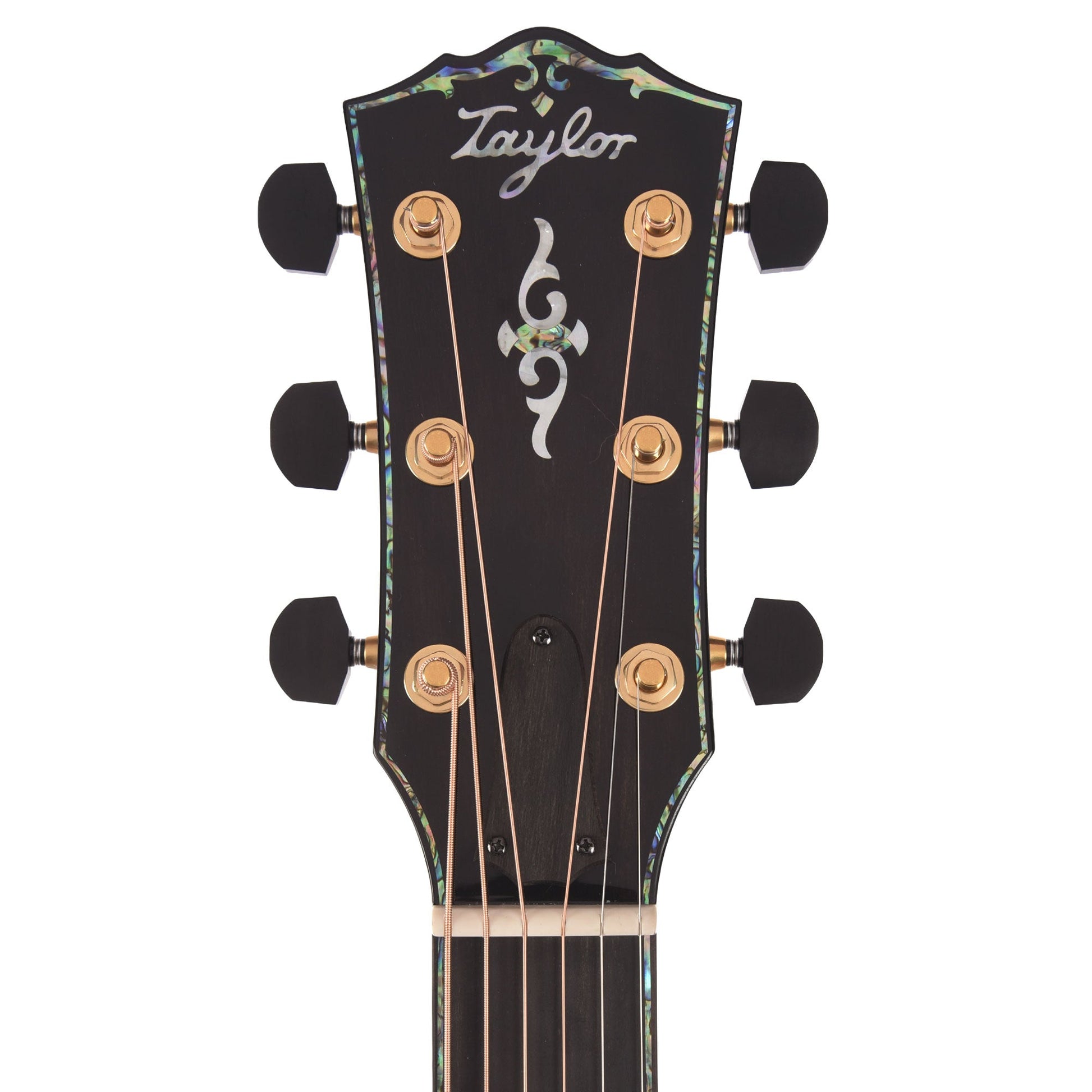 Taylor Next Generation Gold Label 917e Grand Pacific Torrefied Adirondack Spruce/Honduran Rosewood Natural w/L.R. Baggs Element