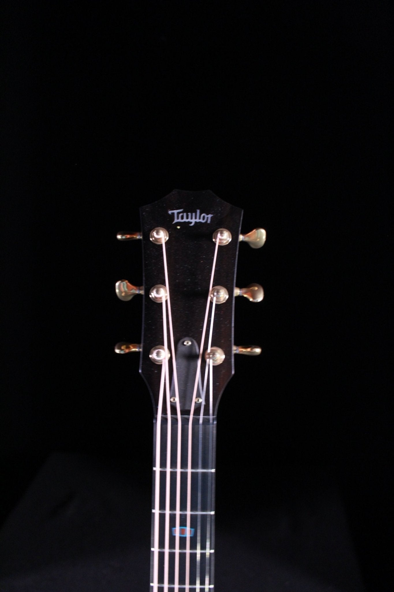 Taylor 2019 Custom GA (Cocobolo/Cedar) - 1110319061 - PLEK'd