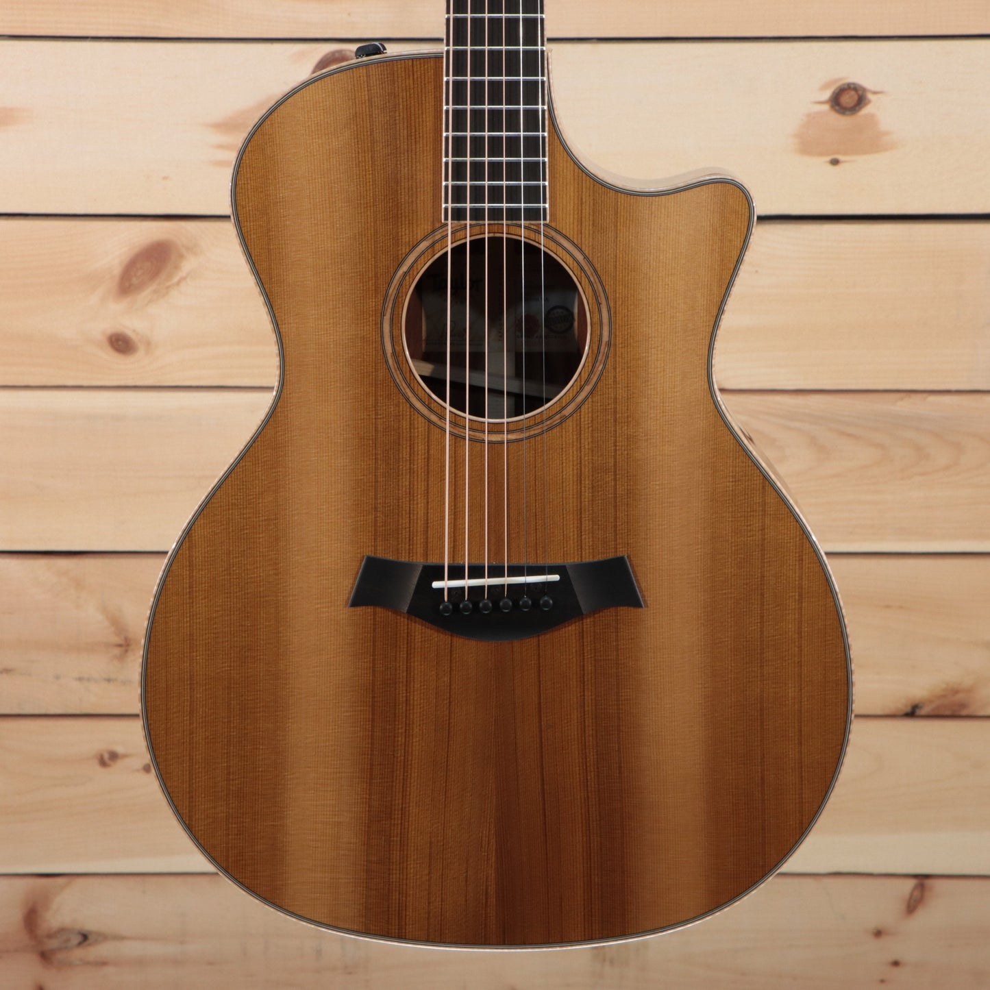 Taylor 2022 Custom GA - (T-613) Serial: 1209282009 - PLEK'd