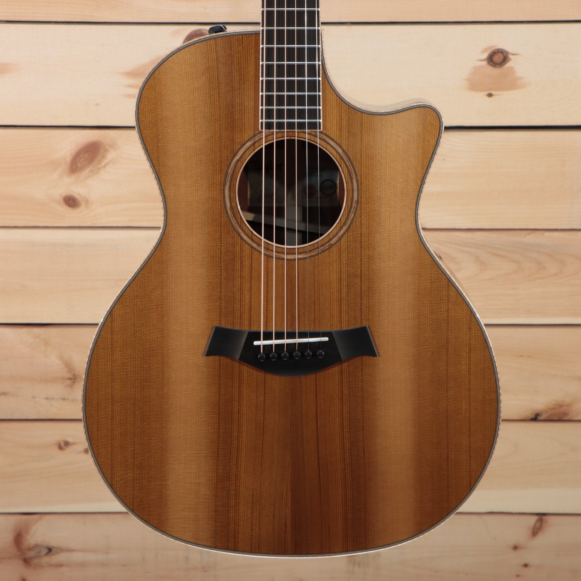 Taylor 2022 Custom GA - (T-613) Serial: 1209282009 - PLEK'd