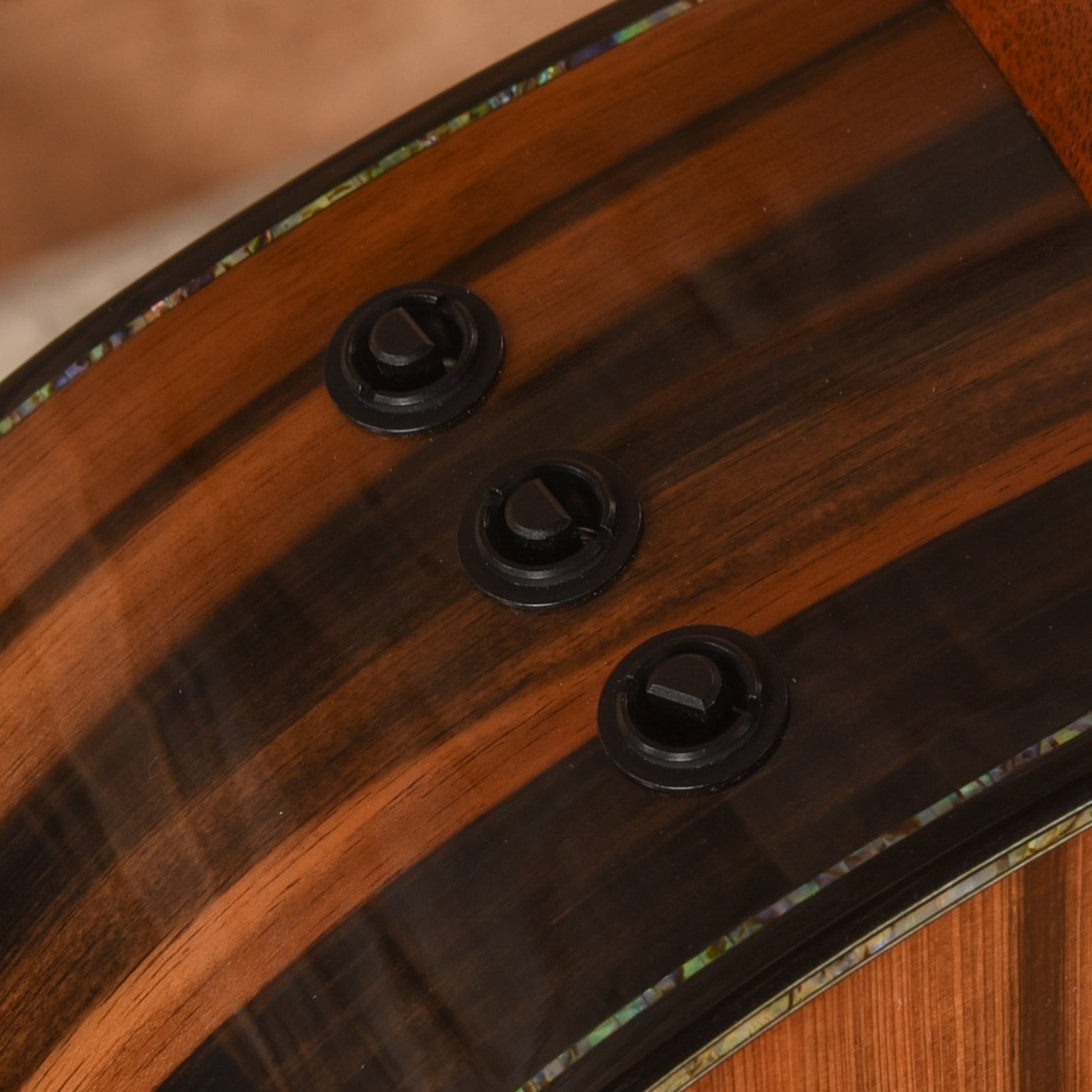 Taylor PS14CE Natural 2017 - Zac Brown