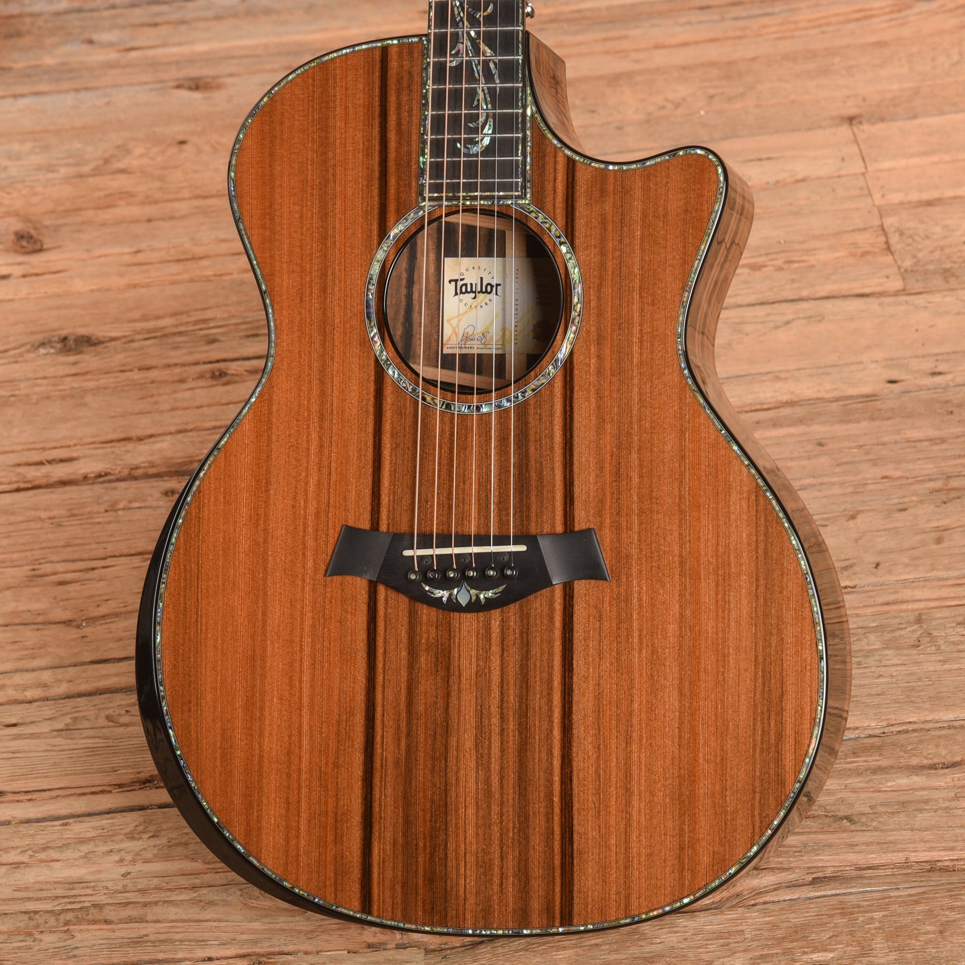 Taylor PS14CE Natural 2017 - Zac Brown