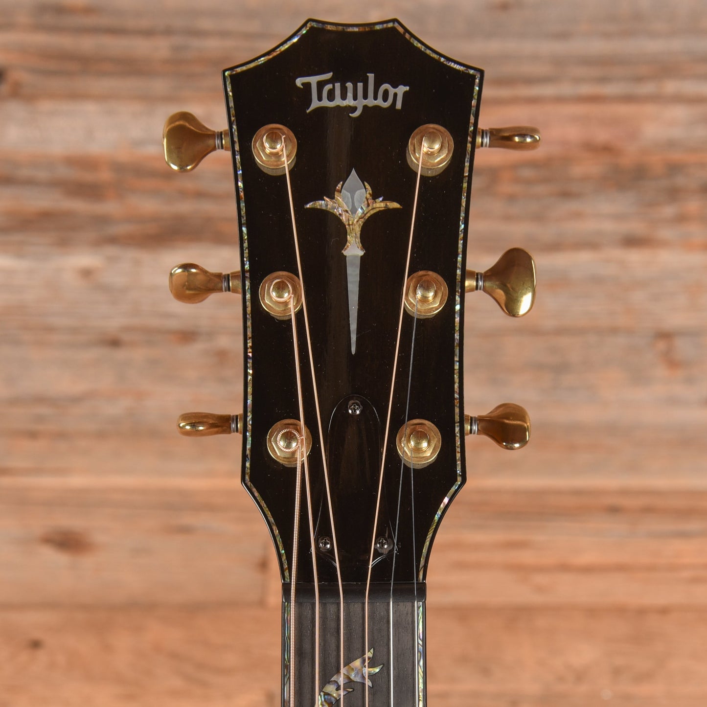 Taylor PS14CE Natural 2017 - Zac Brown